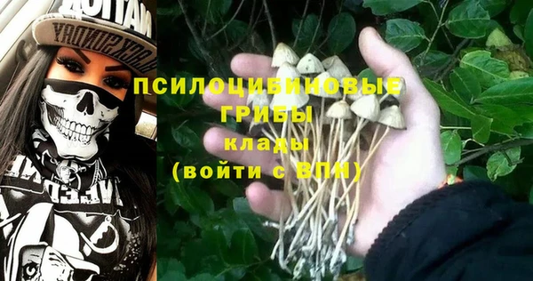эйфоретик Грязи