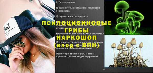 стафф Грязовец