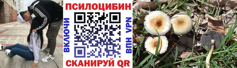 Псилоцибиновые грибы Psilocybe  Россошь 