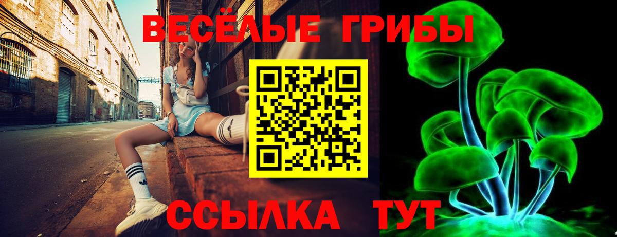 Россошь  Галлюциногенные грибы Psilocybine cubensis  Вход с VPN 